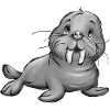 Walrus