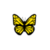 yellow butterfly