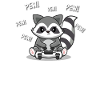 Raccoon