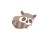 Raccoon