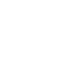 Web Developer