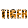 Tiger Design