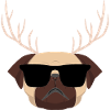 Reindeer pug