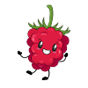 raspberry