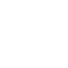 Sea Lion Seal