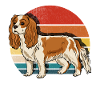 Cavalier King Charles