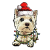 Regalo per cani di Natale West Highland Terrier