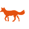 Fox / Renard / Fuchs