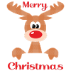 Christmas reindeer