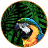 Parrot