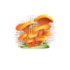 The Mushrooms Are Calling Chanterelle Mushroom Pickers
