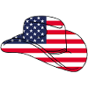 Usa hat
