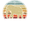 Elephant Sunset