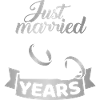 Silver wedding anniversary