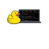 Programmierer Ente Programmieren Debugging Lustig