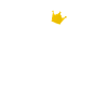 POKER: roi du poker