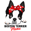Boston Terrier