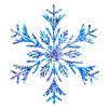 single snowflake