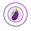 aubergine