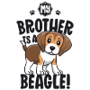 Min bror er en beagle skjorter til børn piger hund