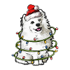 Samojeden Weihnachten Hunde Geschenk