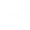 Haflinger Pferd Pferdefreunde Pferdemädchen