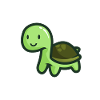 Green turtle