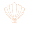 Seashell sea