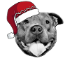 Pitbull Santa Hat - Christmas