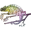 Chameleon