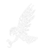 Totem hawk white