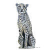 Gepard / Cheetah