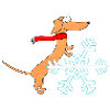 Dackel, Schneestern, Winter