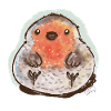 Bubble Robin