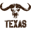 TEXAS