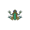 Aboriginal Art Frog