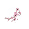 Cherry blossom moon