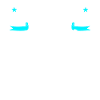 Avez-vous même Backflip Bro?