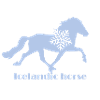 icelandic snowflake