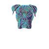 Boxer Funny