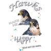 hawk