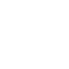 Budgie Bird