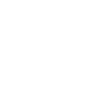 Budgie Bird