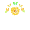 Butterfly insect collector