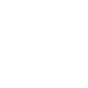 Evolution Oiseau Oiseau Geek
