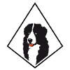 Dog diamond design