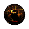 Funny night owl. Funny owls