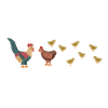 chicken coop