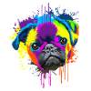 Splash Art Pug Cane Cane Proprietario Regalo
