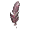 plume